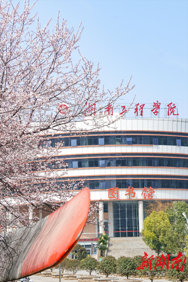 新葡萄8883官网AMG紫叶李花开惹人醉