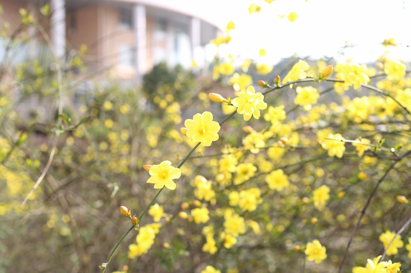 IMG_2496_副本.jpg